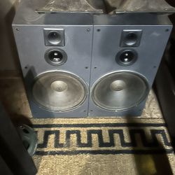 Custom 15 Inch Speakers