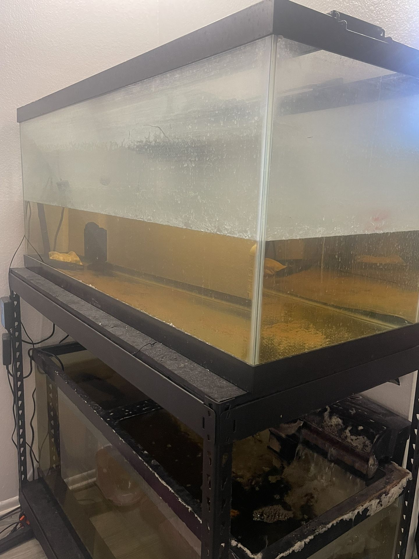 (2) 75 Gallon Tanks 