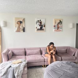 Pink Velvet Sectional Couch