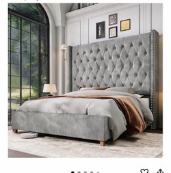 Brandnew queen bed frame