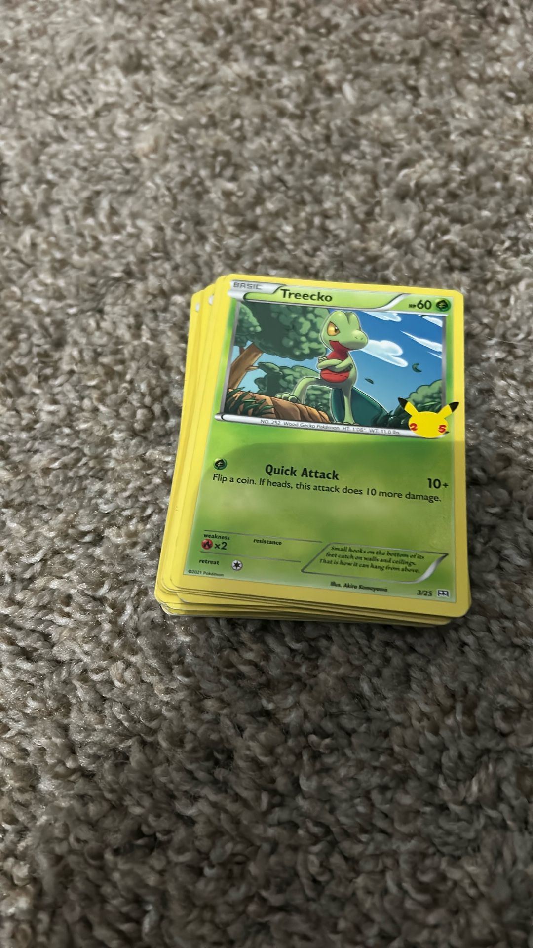 Pokémon Cards For Beginners