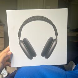 AirPod Max Best Offer Gets It!