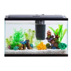 10-Gallon Glass Aquarium with decor, rocks, pump