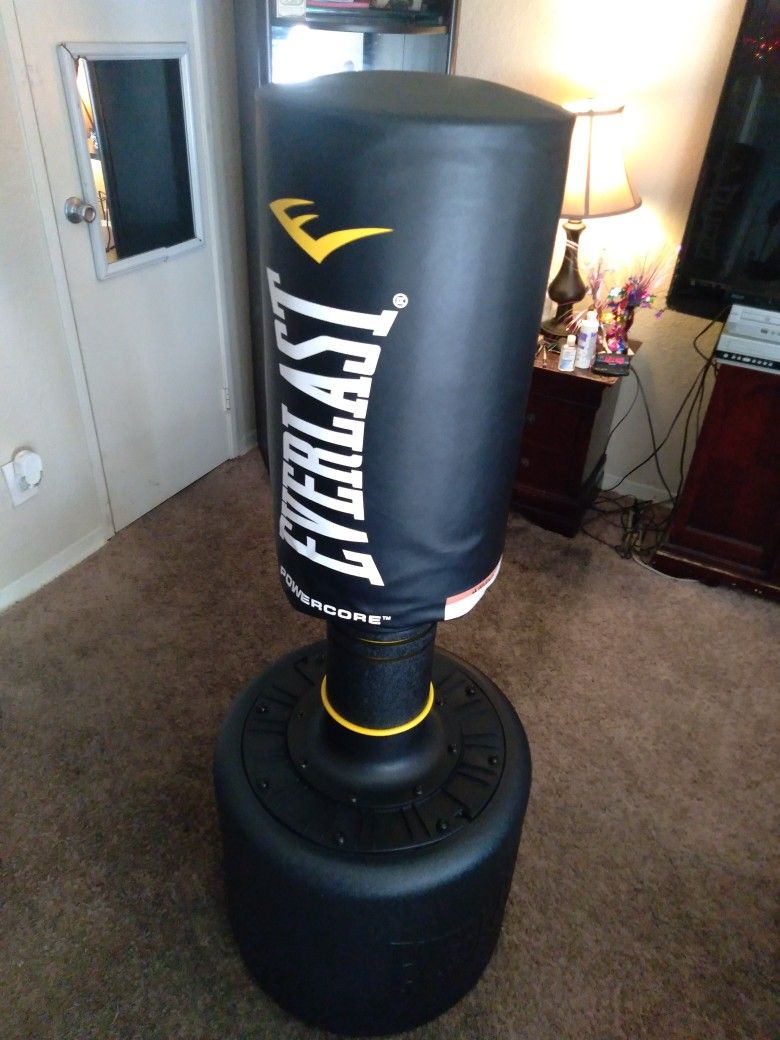 Everlast Powercore Punching Bag