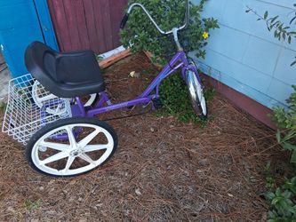 Trailmate 3 Wheel Bicycle