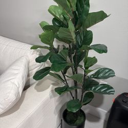 Fake Plant 