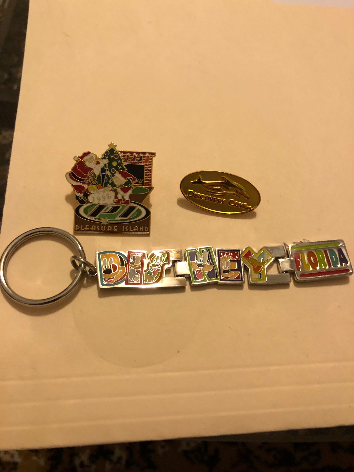 Key ring and pin and key chain