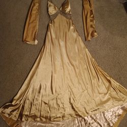 Gold gown/dress