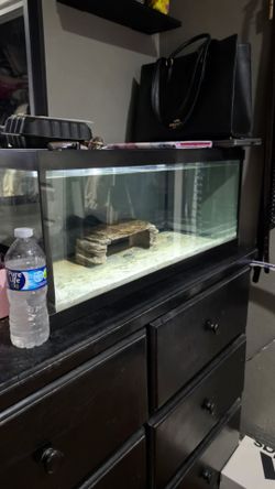 Glass aquatic tank