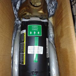 Pool / Spa Pump 