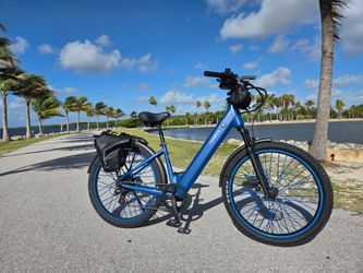 Tenways electric bike