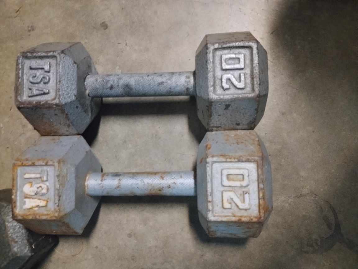 20 lb TSA iron dumbbells