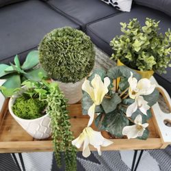 Fake Plants