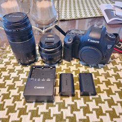 Canon 6D DSLR with Lenses