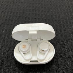 HEARS EARPLUGS W/ CASE