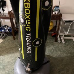 $10 Electronic Boxing / Kick Boxing Inflatable Light-up Trainer Bag