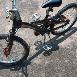 Shwinn 20"" Bike 
