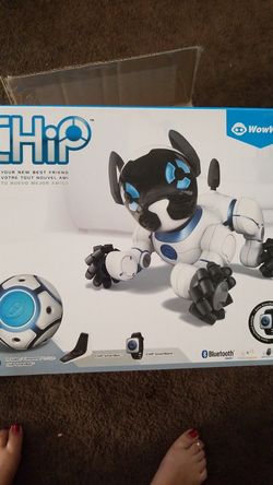 Kids Toy