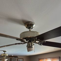 Hunter Ceiling Fans
