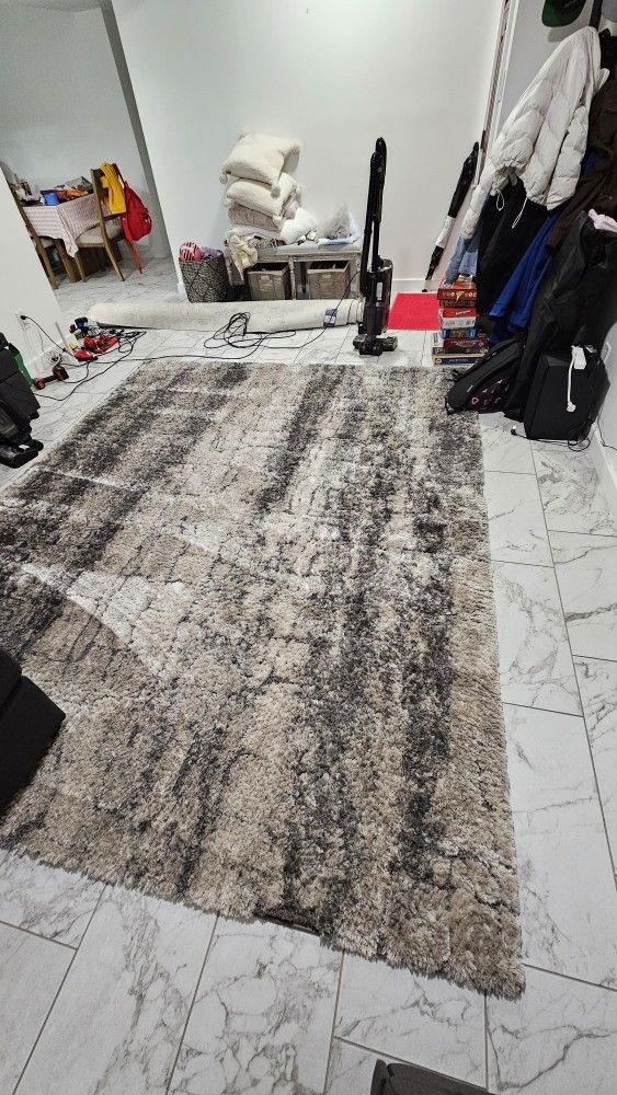Area Rug 8x10