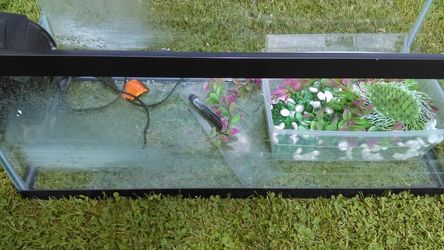 Nice tank for reptiles