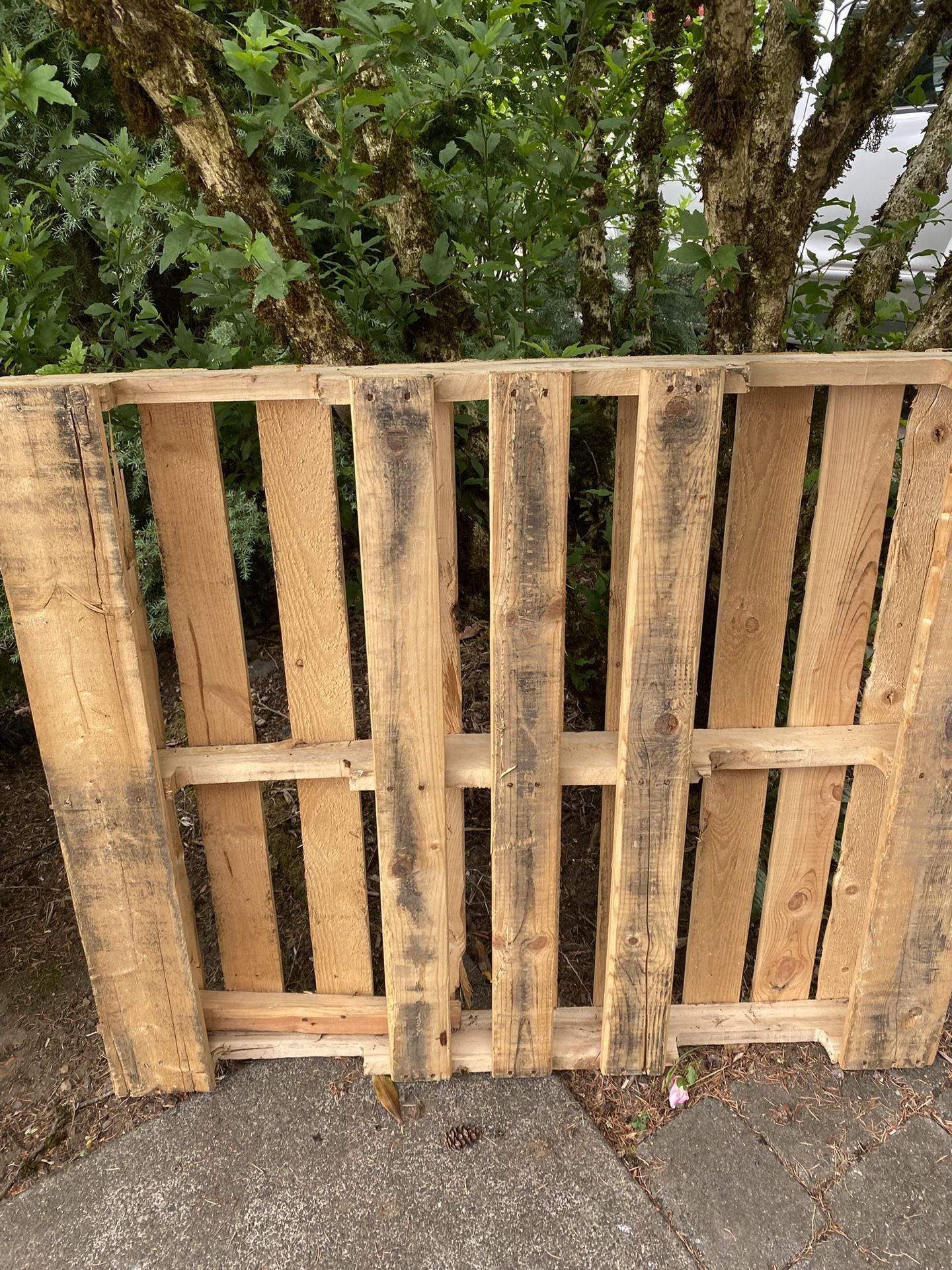 Free Wood Pallet