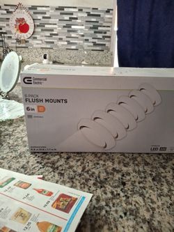 Flush Mounts --lámparas Planas De Techo