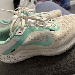 Nike Winflo 10