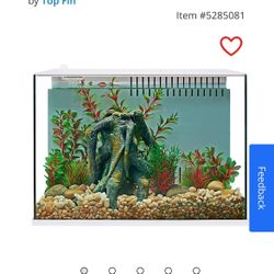 Aquarium And Accessories 