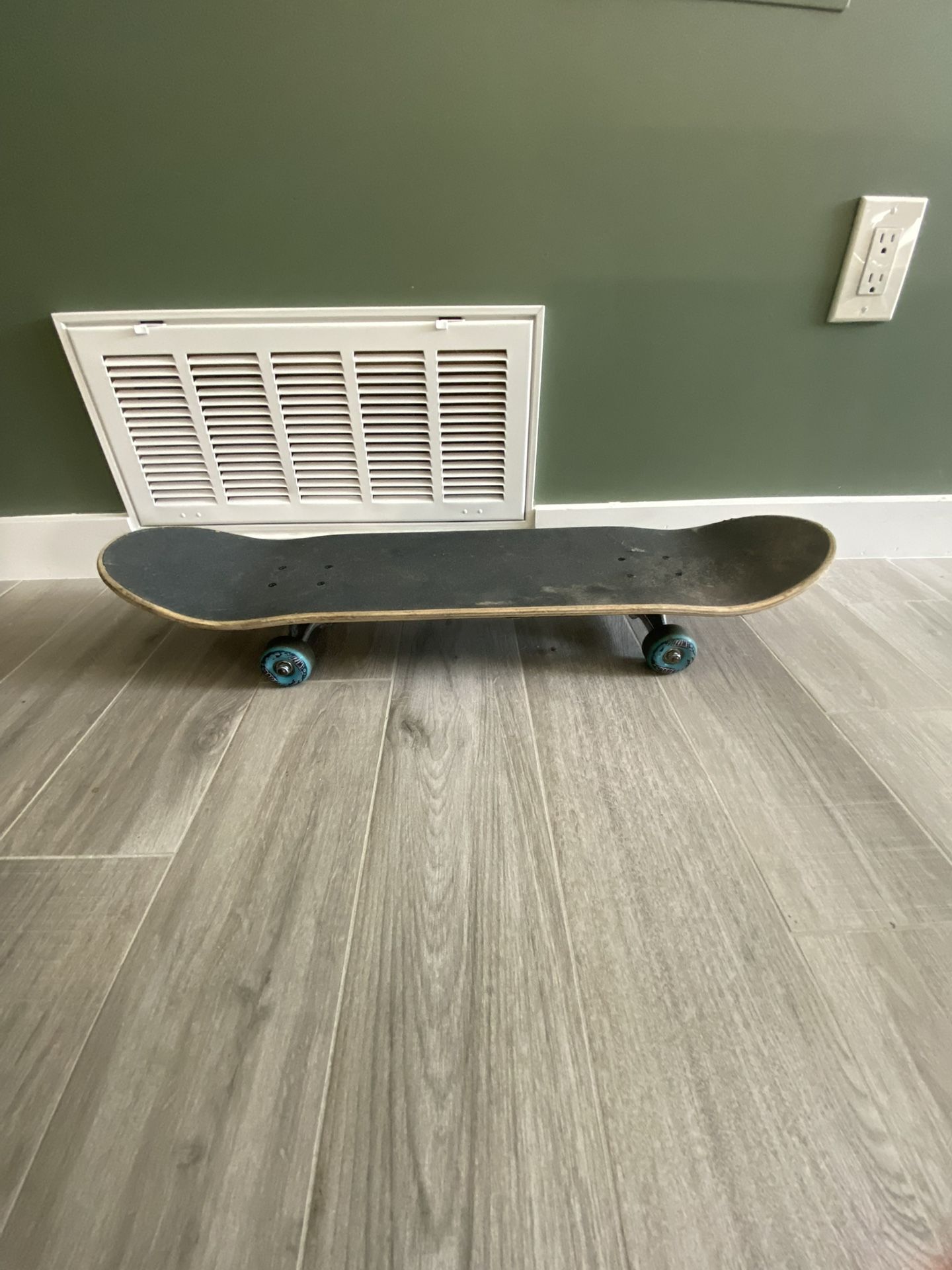 Santa Cruz Skateboard