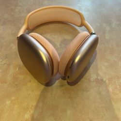 Brand New Apple Headphones 