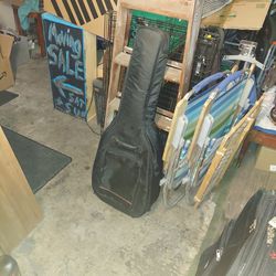 Hohner Padded Soft Gig Bag 45" for...Guitar?