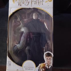 Lord Voldemort & Snake