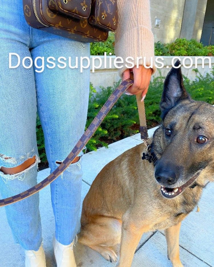 Designer Dog Collar and Leash Sets 9 Designs