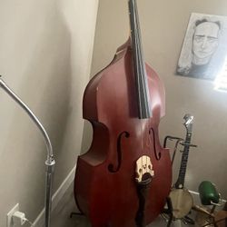 Stand Up Bass 