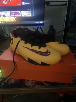KD 6 P&J