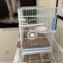 New Breeding Cage
