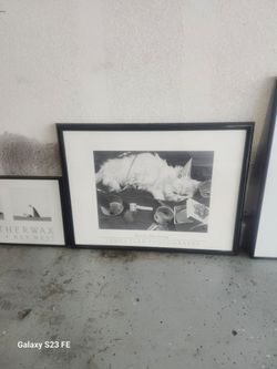 Framed Cat Picture