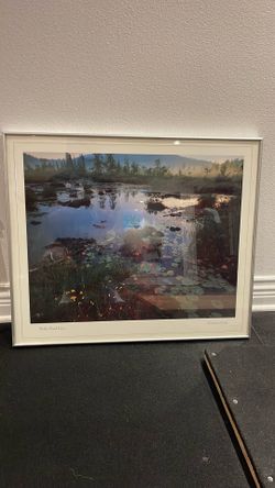 Art frame