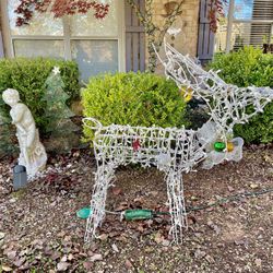 Christmas Deer 