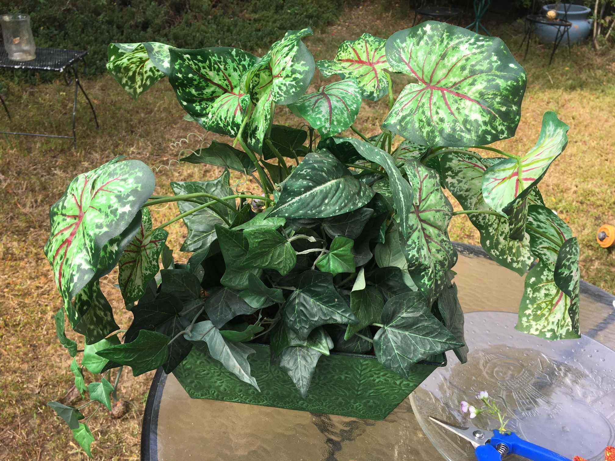 Silk Plant In Nice Metal Box