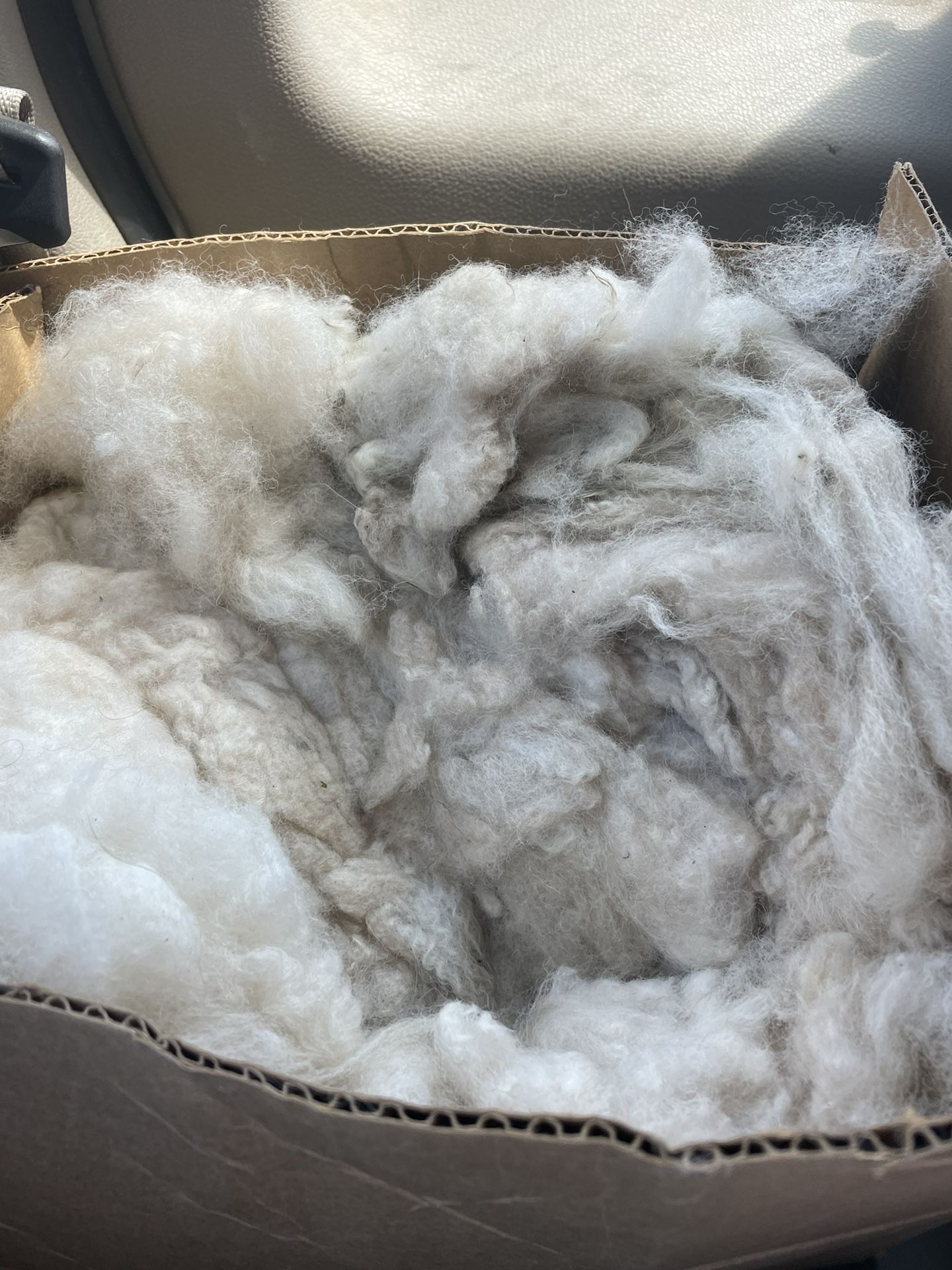 Free Alpaca Wool/roving