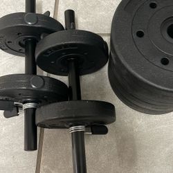 Weights 