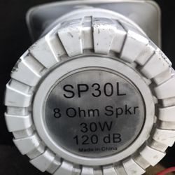 Speaker Audio
