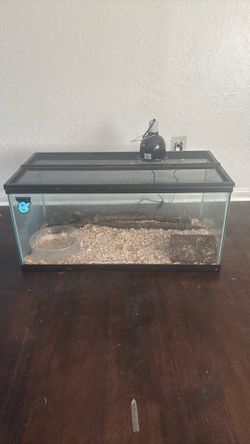 Reptile Tank 