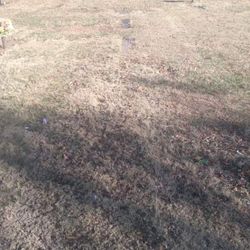 Burial Plots At Woodlawn Memorial park