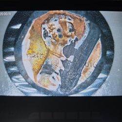 2016 D - F/B  Error Penny 