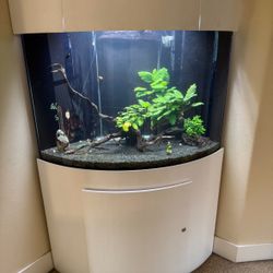 95-Gallon Corner Aquarium with Stand and Equipment 