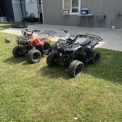 Tao Tao Quads 
