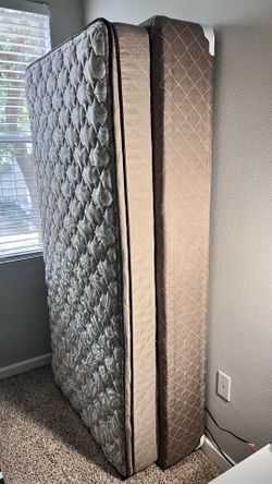 Mattress Firm Twin Bed w/ Box Spring Base